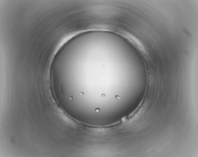 X0000115691192200911251806