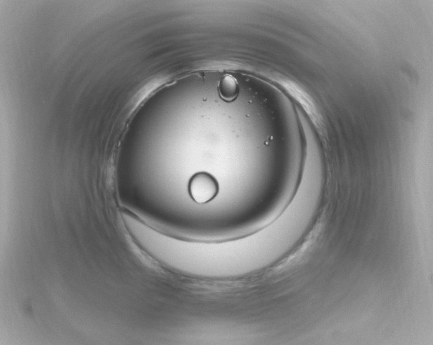 X0000115691193200911251806