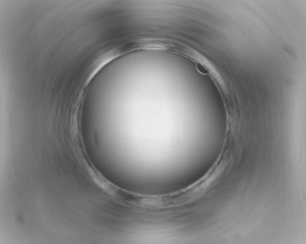 X0000115691194200911251806