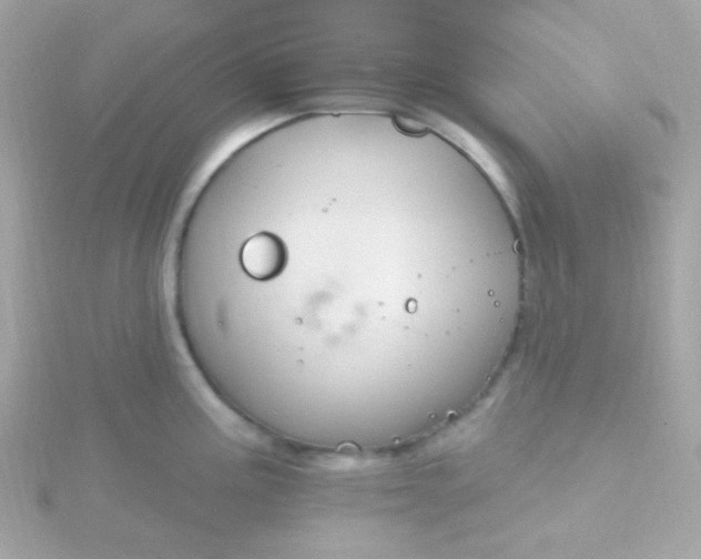 X0000115691195200911251806