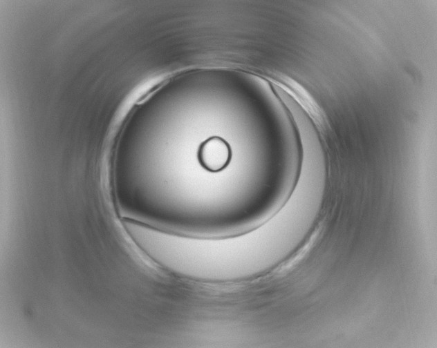 X0000115691196200911251806