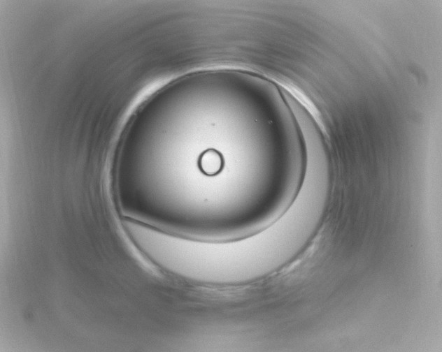 X0000115691197200911251806