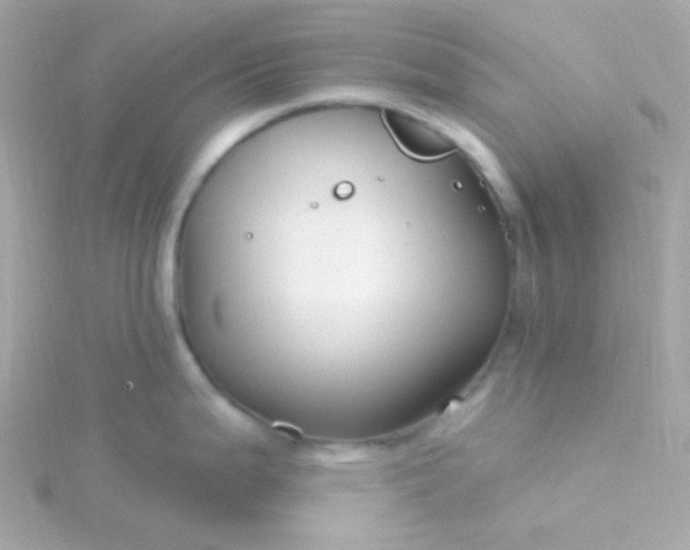 X0000115691199200911251806