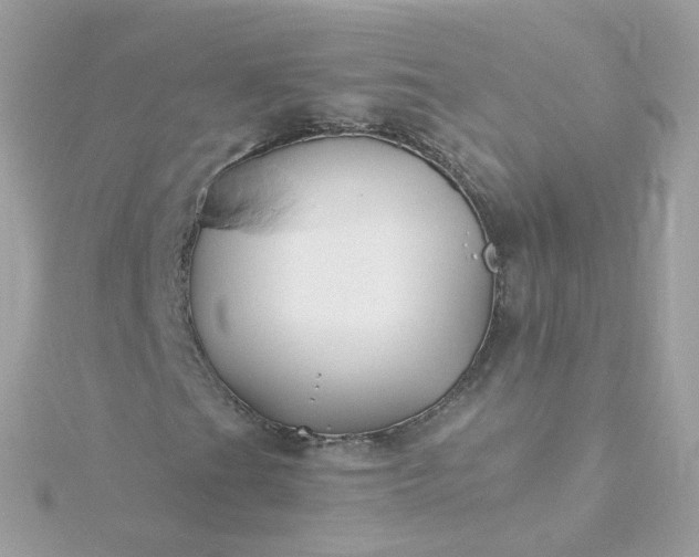 X0000115691201200911251806