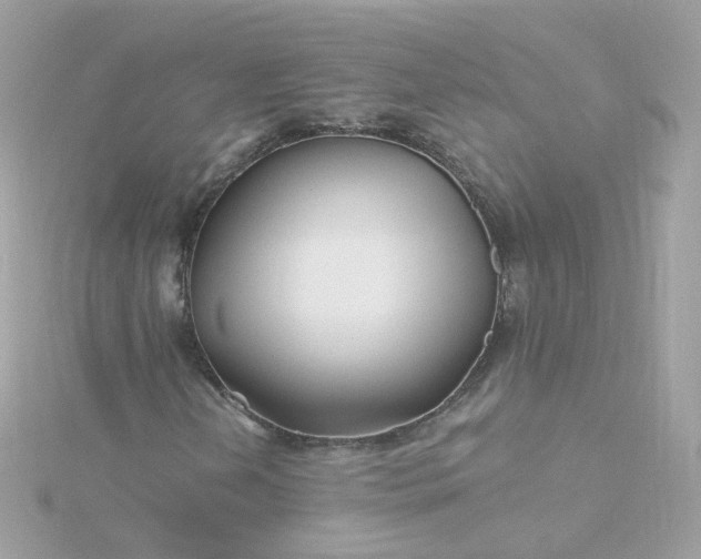 X0000115691202200911251806