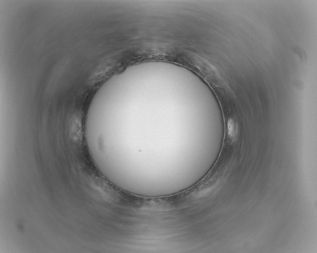 X0000115691203200911251806