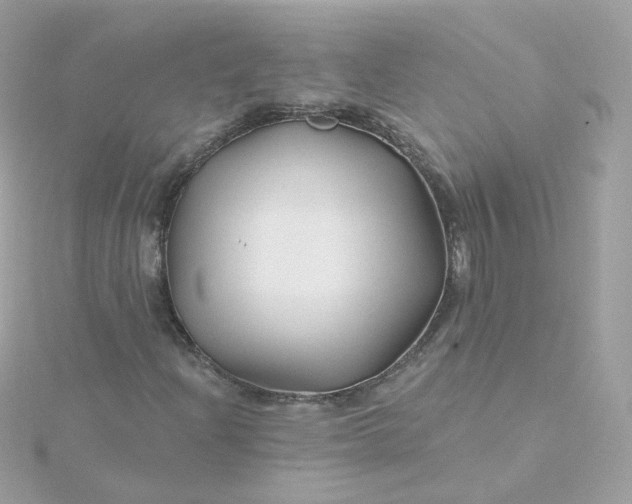 X0000115691204200911251806