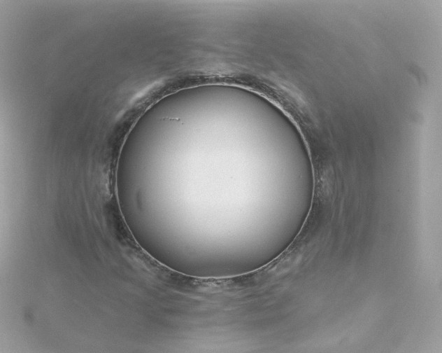 X0000115691205200911251806