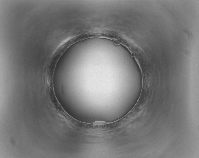 X0000115691206200911251806