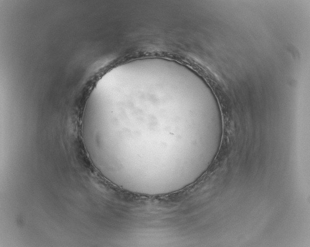 X0000115691207200911251806