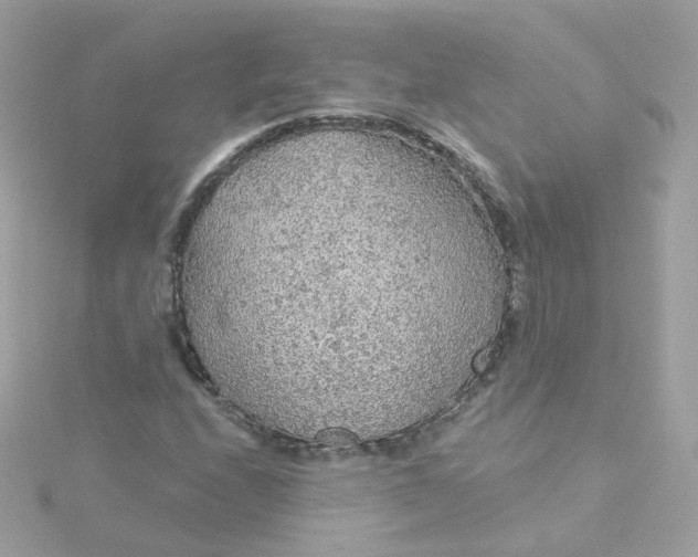 X0000115691208200911251806