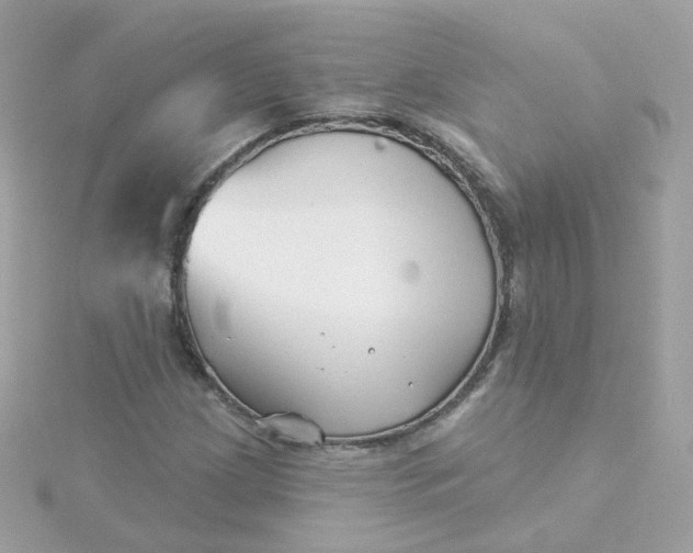 X0000115691209200911251806