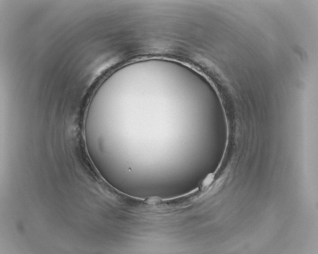 X0000115691210200911251806