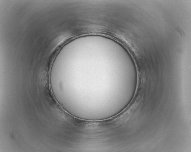 X0000115691211200911251806