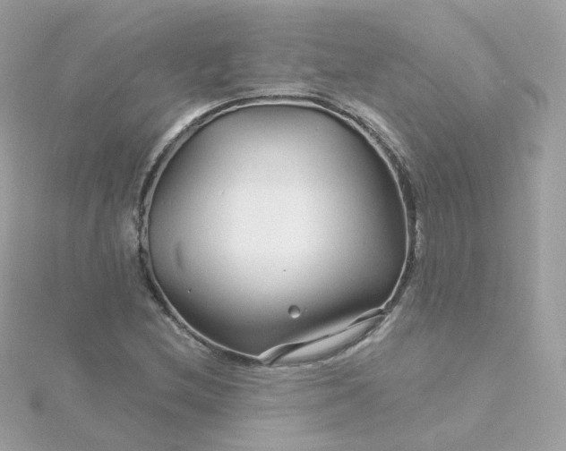 X0000115691212200911251806