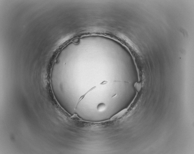 X0000115691213200911251806