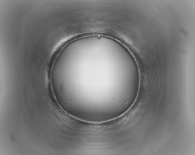 X0000115691214200911251806