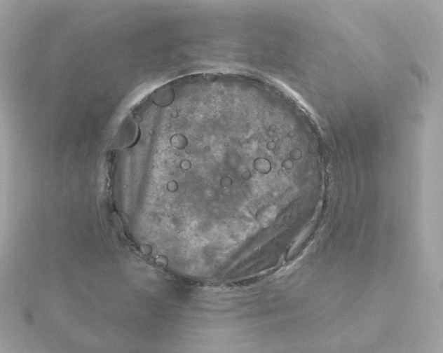 X0000115691215200911251806