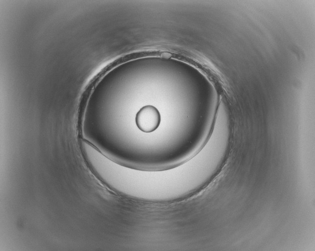 X0000115691216200911251806