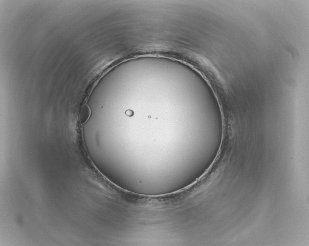 X0000115691217200911251806