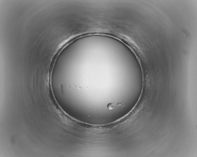 X0000115691220200911251806