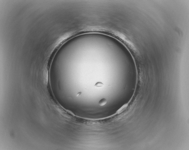 X0000115691221200911251806