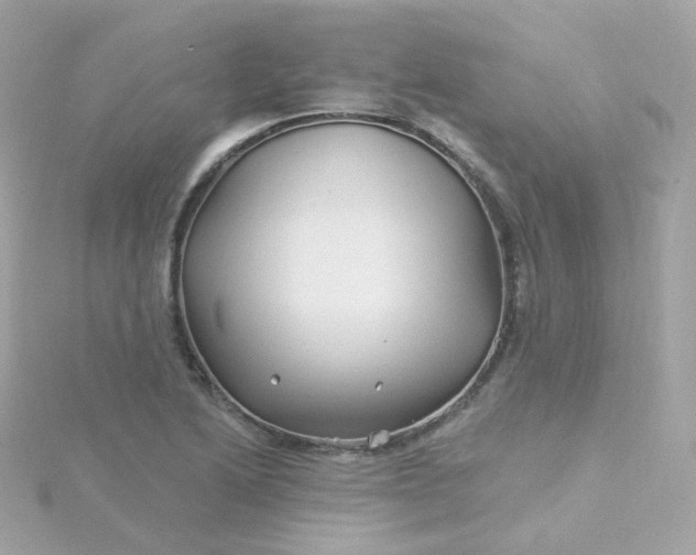 X0000115691222200911251806