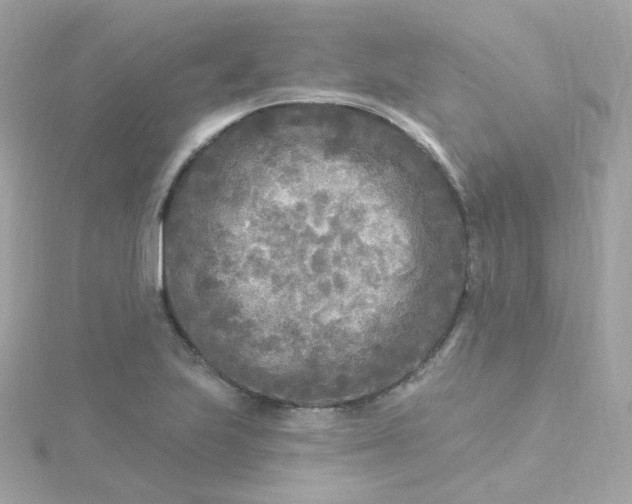 X0000115691223200911251806