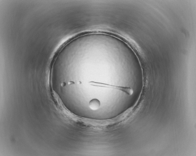 X0000115691224200911251806