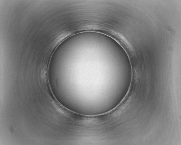 X0000115691225200911251806