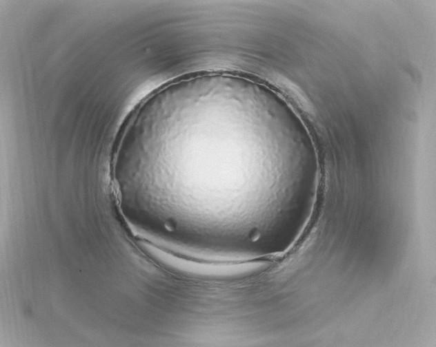 X0000115691226200911251806