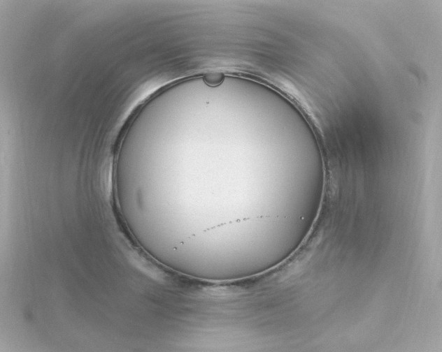 X0000115691227200911251806