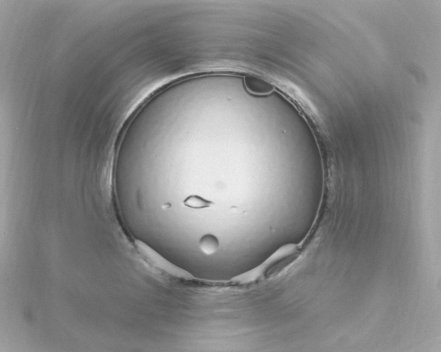 X0000115691228200911251806