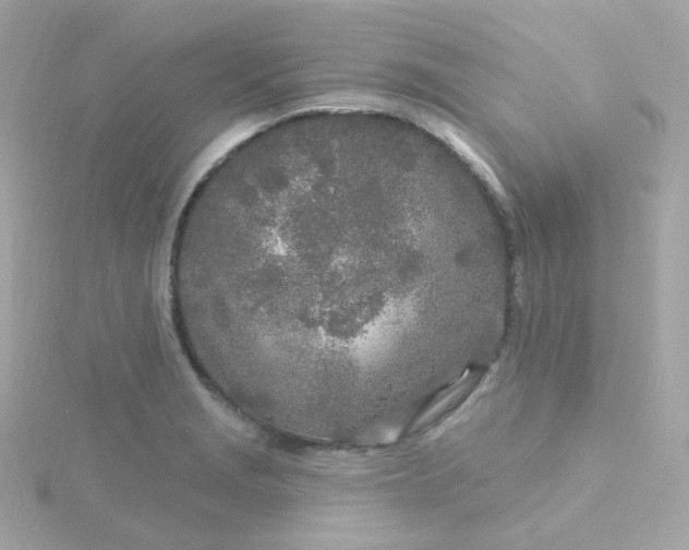 X0000115691229200911251806