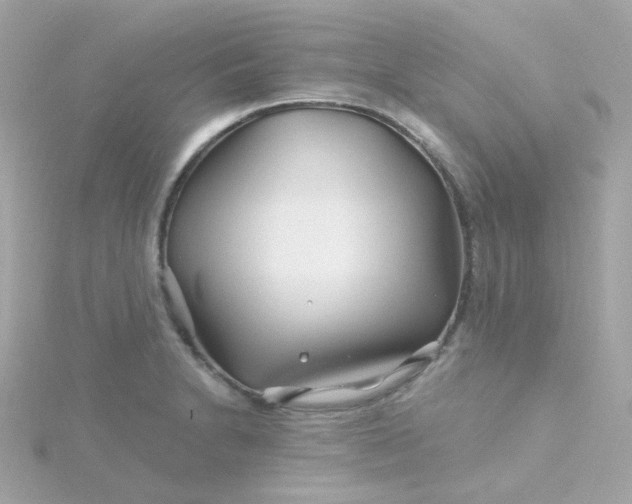 X0000115691230200911251806