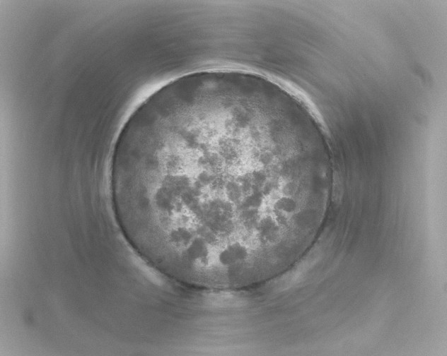 X0000115691231200911251806