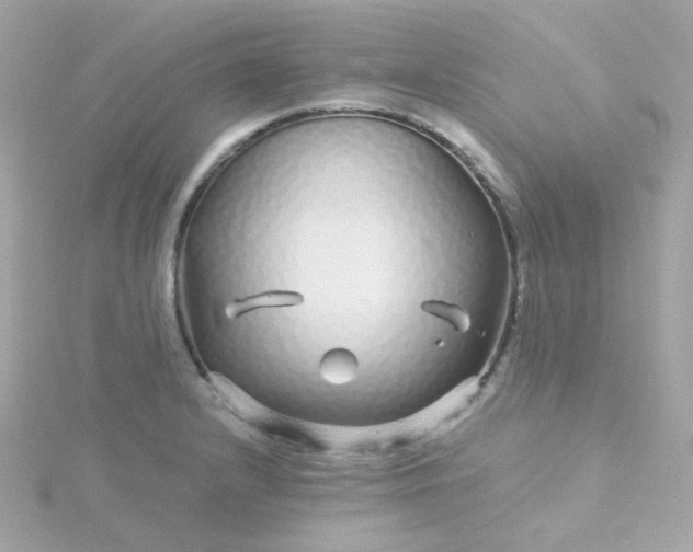 X0000115691232200911251806