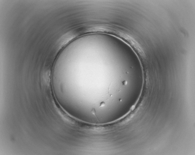 X0000115691233200911251806