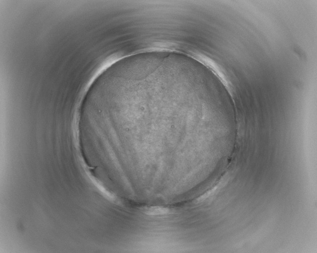 X0000115691235200911251806