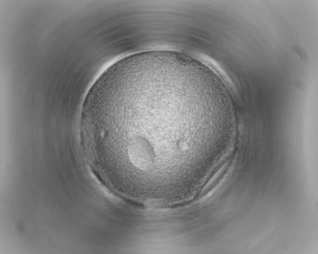 X0000115691236200911251806