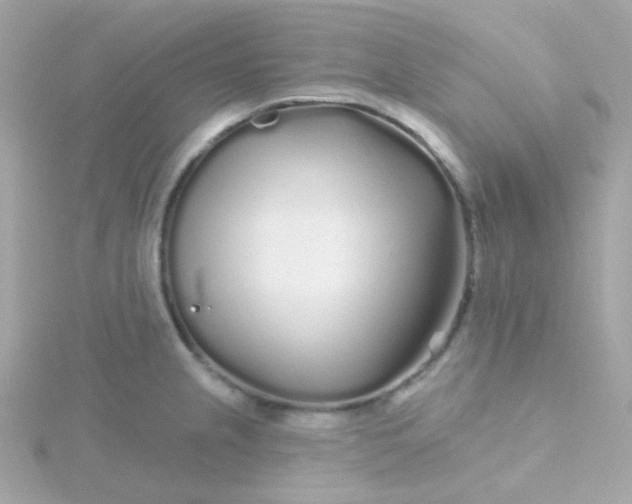 X0000115691237200911251806