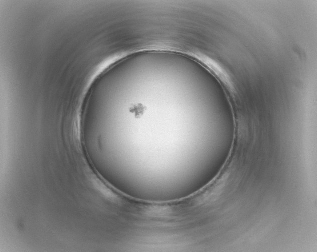 X0000115691238200911251806