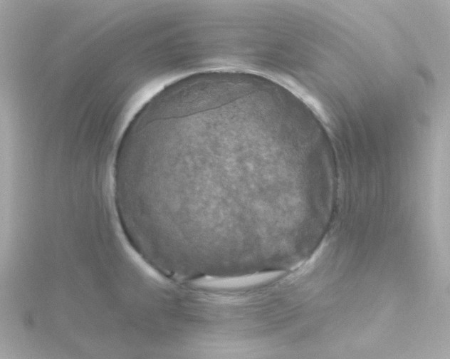 X0000115691239200911251806