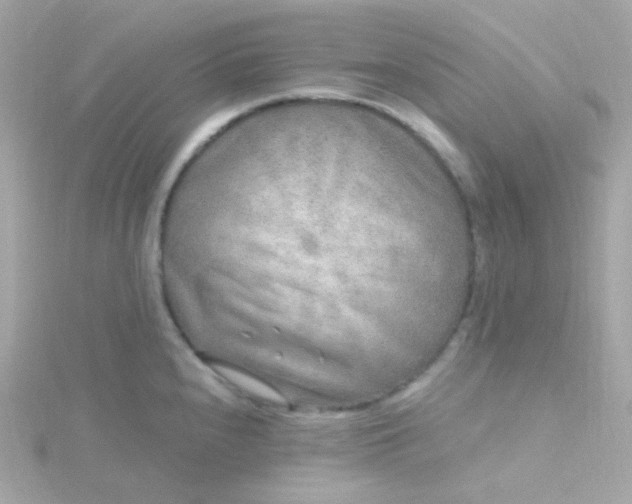 X0000115691240200911251806