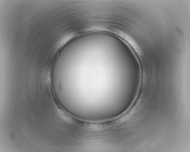 X0000115691241200911251806