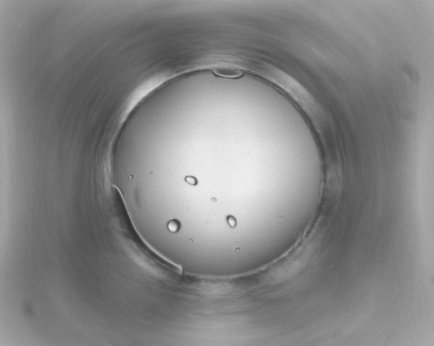 X0000115691242200911251806