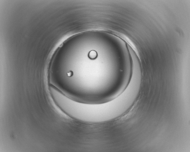 X0000115691243200911251806