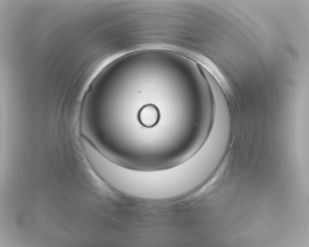 X0000115691244200911251806