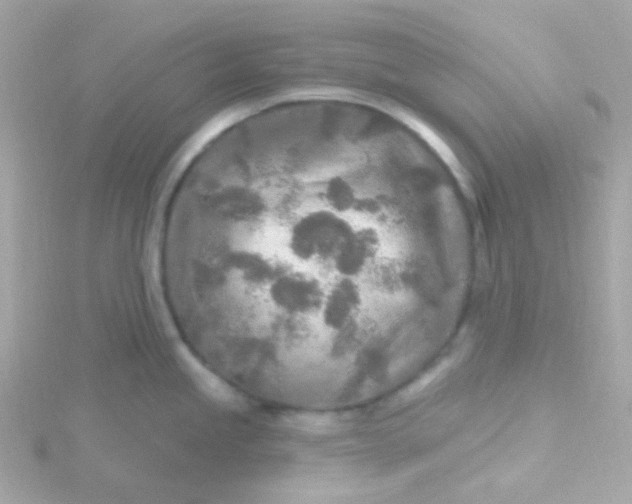 X0000115691245200911251806