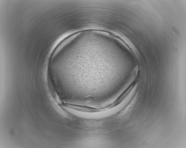 X0000115691246200911251806